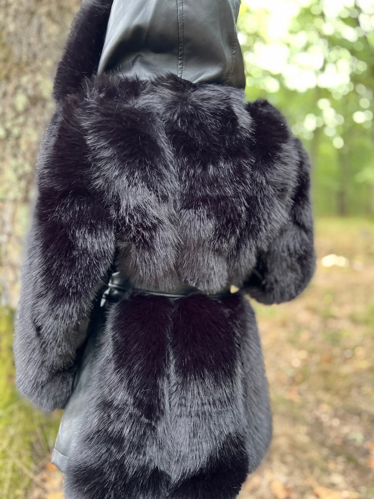 Blăniță Amona